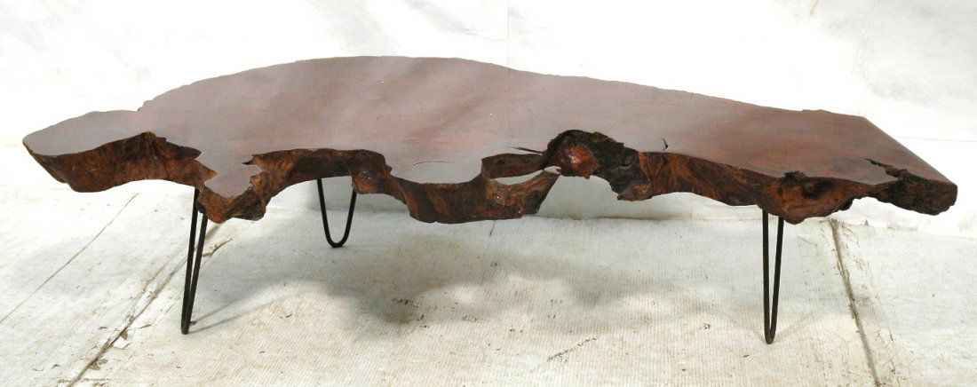Thick Slab Wood Freeform Coffee Table. Iron Hairp: Thick Slab Wood Freeform Coffee Table. Iron Hairpin Legs. 2.75" thick slab. -- Dimensions: H: 14.5 inches: W: 55 inches: D: 38 inches ---