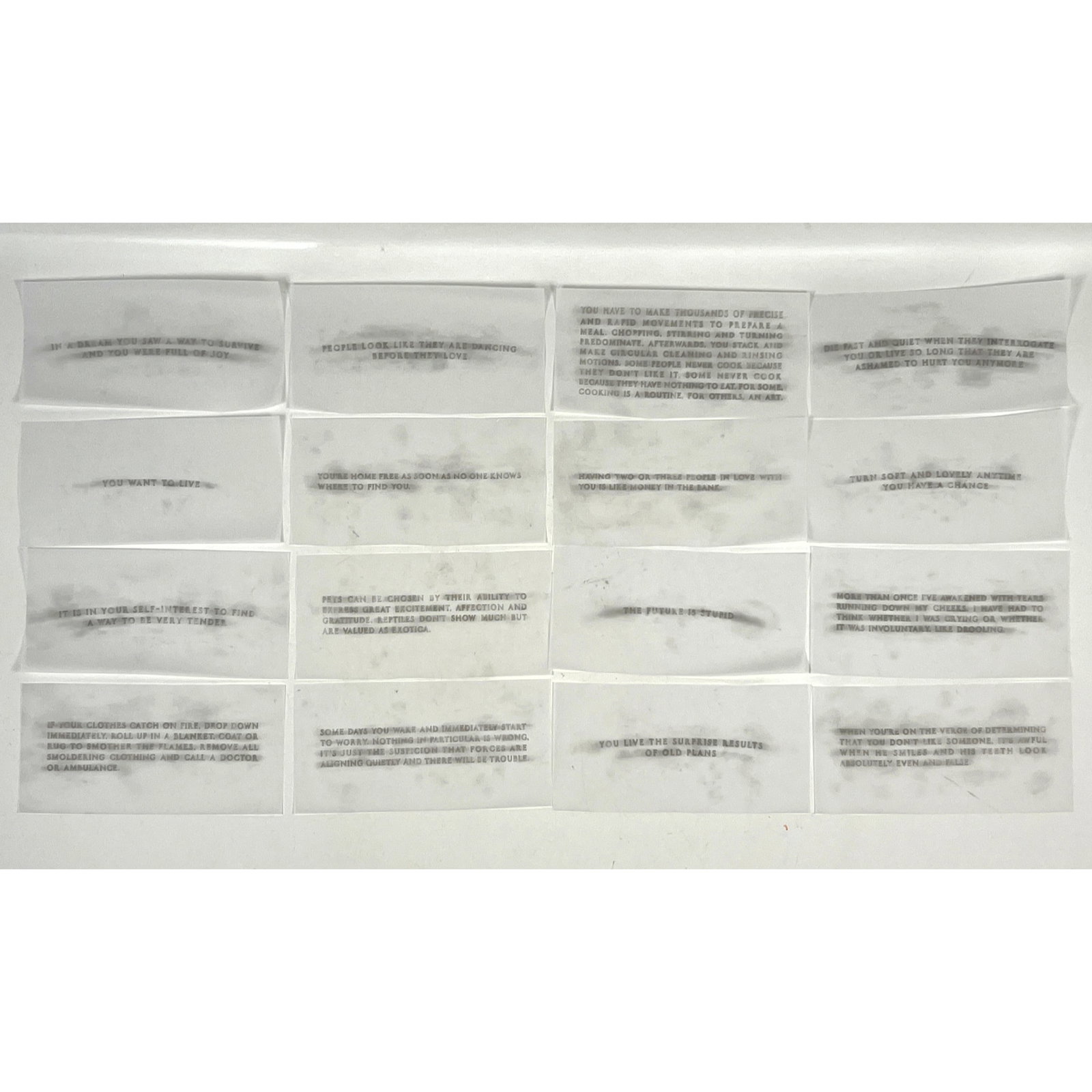 16 Jenny Holzer vellum prints (1 of 11)