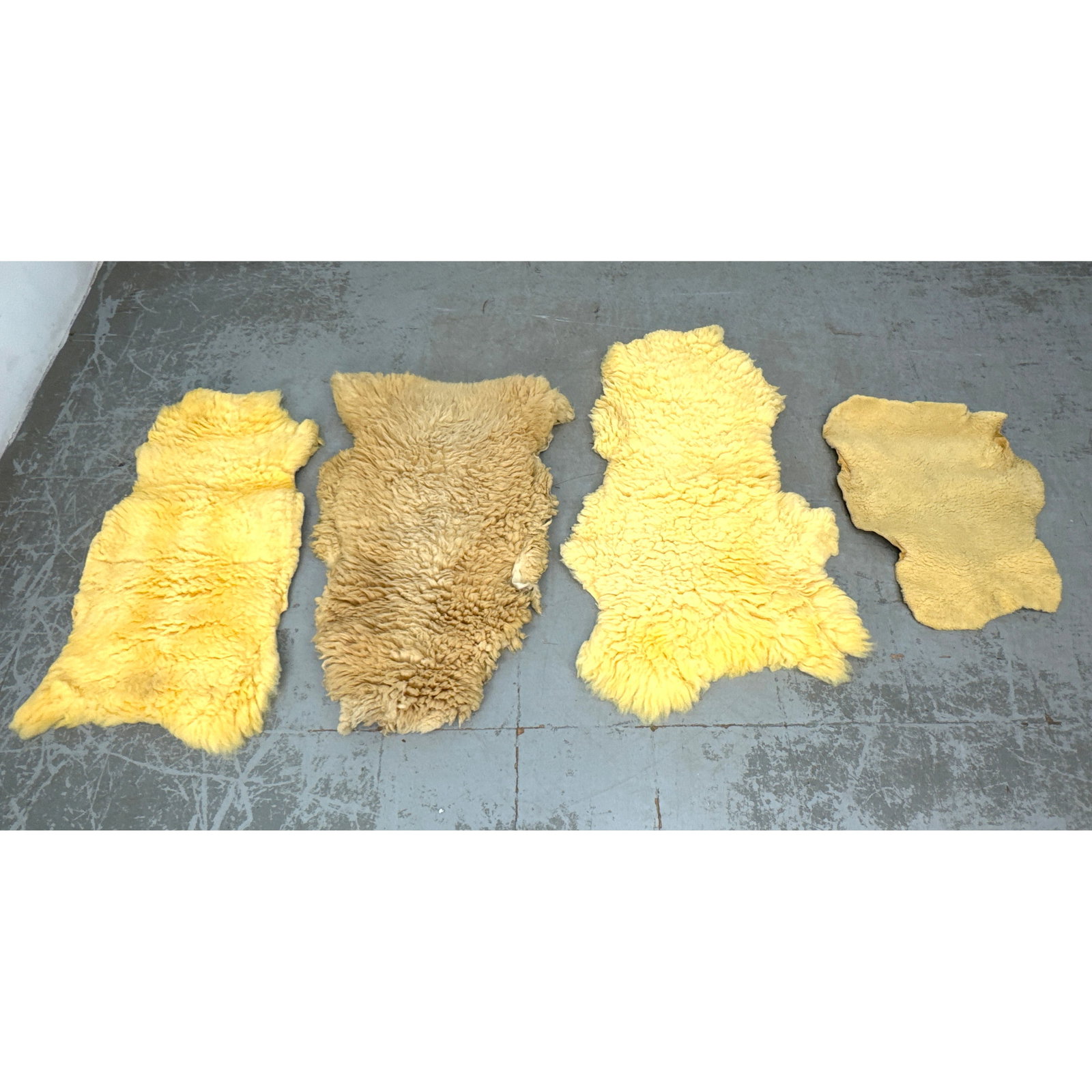 4pcs Genuine Lamb Sheepskins.: 4pcs Genuine Lamb Sheepskins. Dimensions: Height: 47 inches, Width: 29 inches. --- US Packing and Shipping charge: In house shipping available. Will be calculated once destination known. Plus