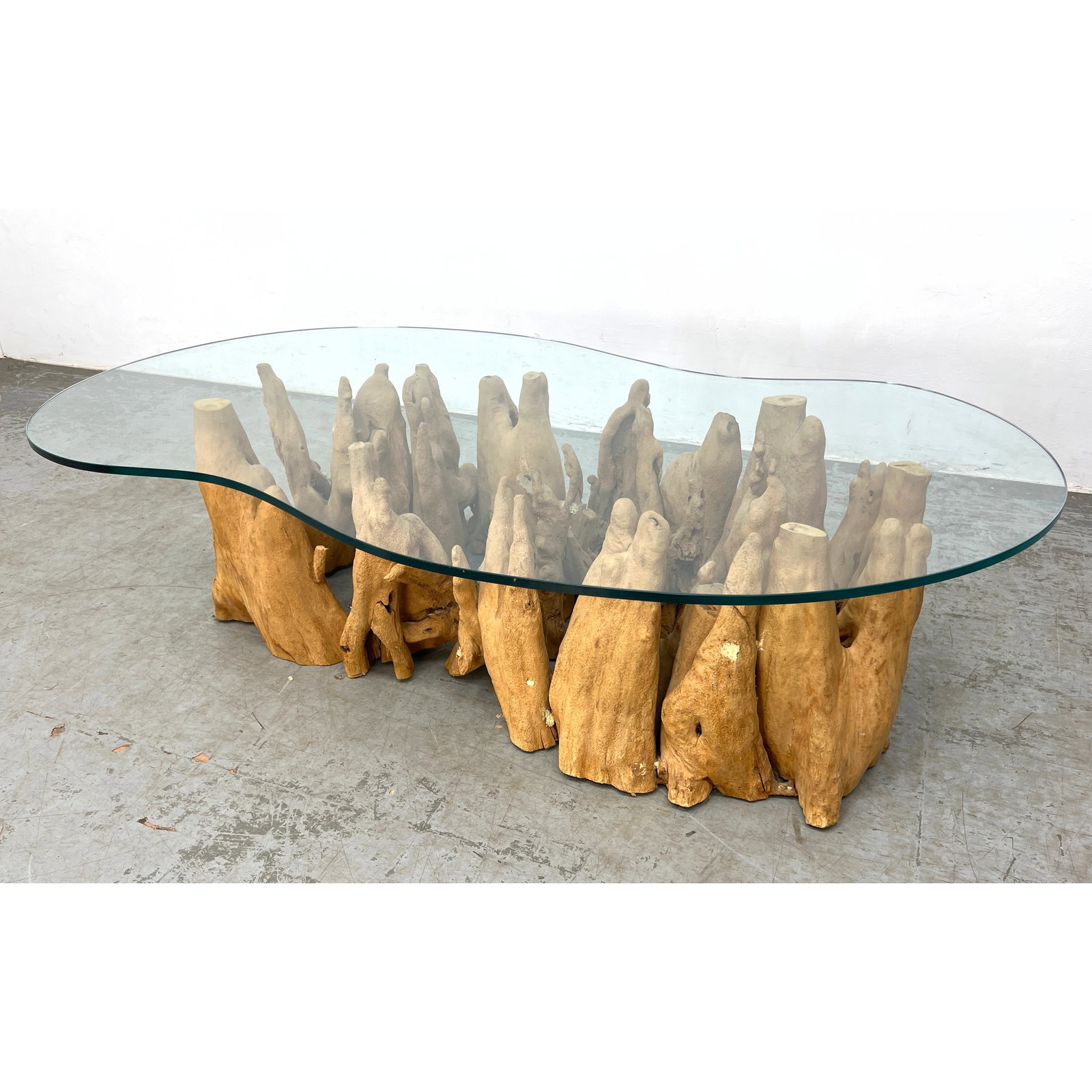Decorator Cyprus Root Coffee Table with Shaped Glass Top.: Decorator Cyprus Root Coffee Table with Shaped Glass Top. Dimensions: Height: 16 inches, Width: 60 inches, Depth: 32.5 inches. ---
