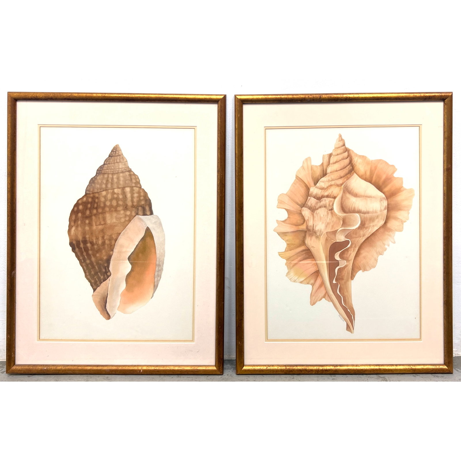 2pcs Bonnie Smith Watercolor Painting of Sea Shells. (1 of 11)