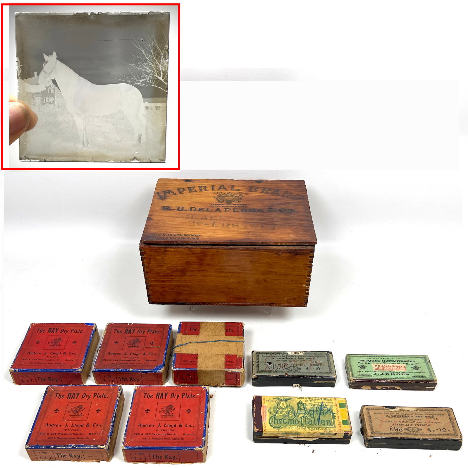 Collection of early 20th century gelatin glass dry plate negatives, many housed within their origina (1 of 20)