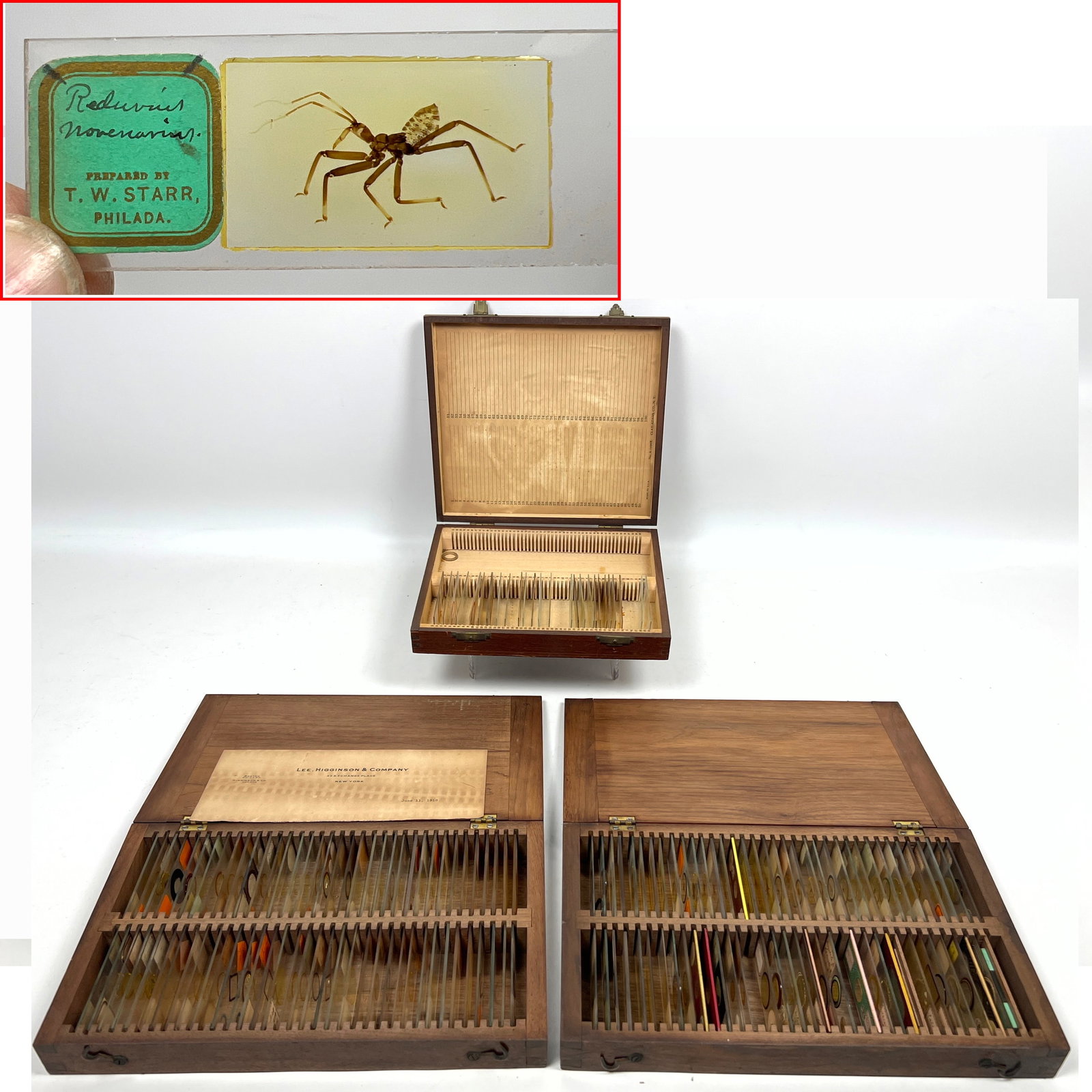 Over 100 antique and vintage prepared microscope slides featuring biological, geological, entomologi (1 of 19)