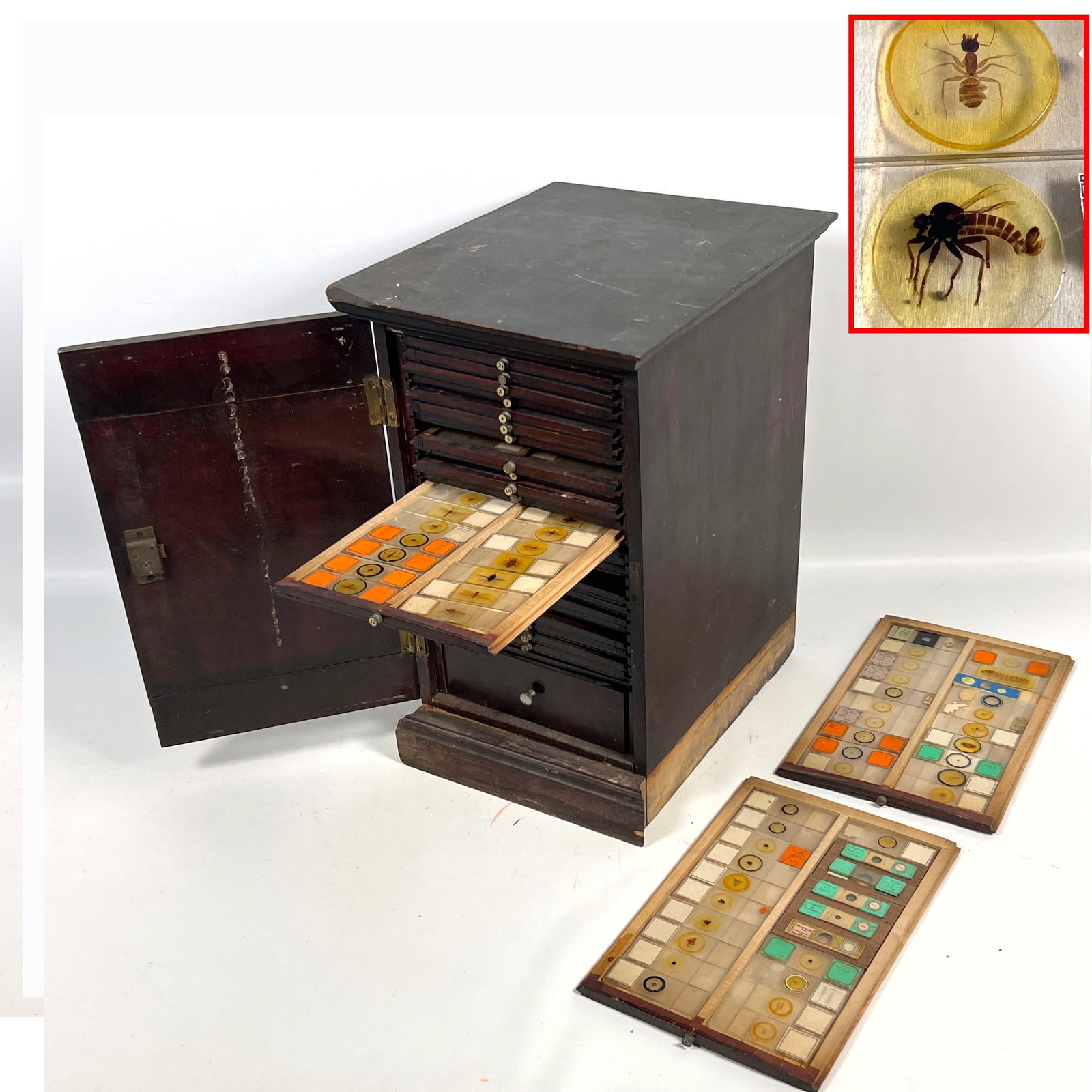 20 Trays 19th century scientific microscope slides. In storage box that needs repair. entomological (1 of 13)
