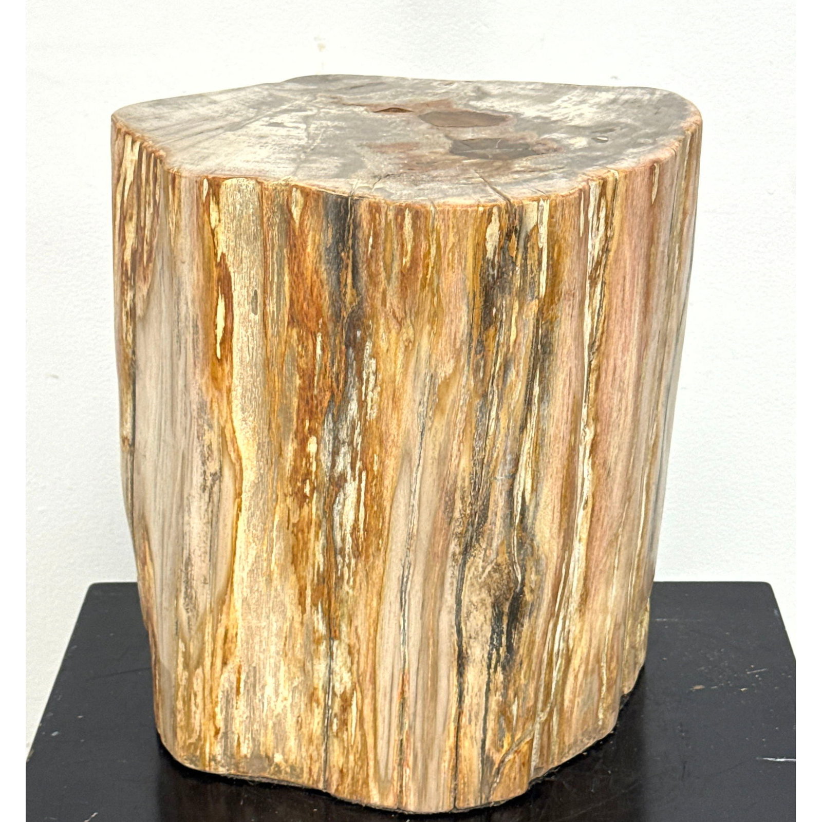 Heavy Polished Petrified Wood Side Table Stool. Translucent Agate Inclusions and Natural Graining (1 of 16)