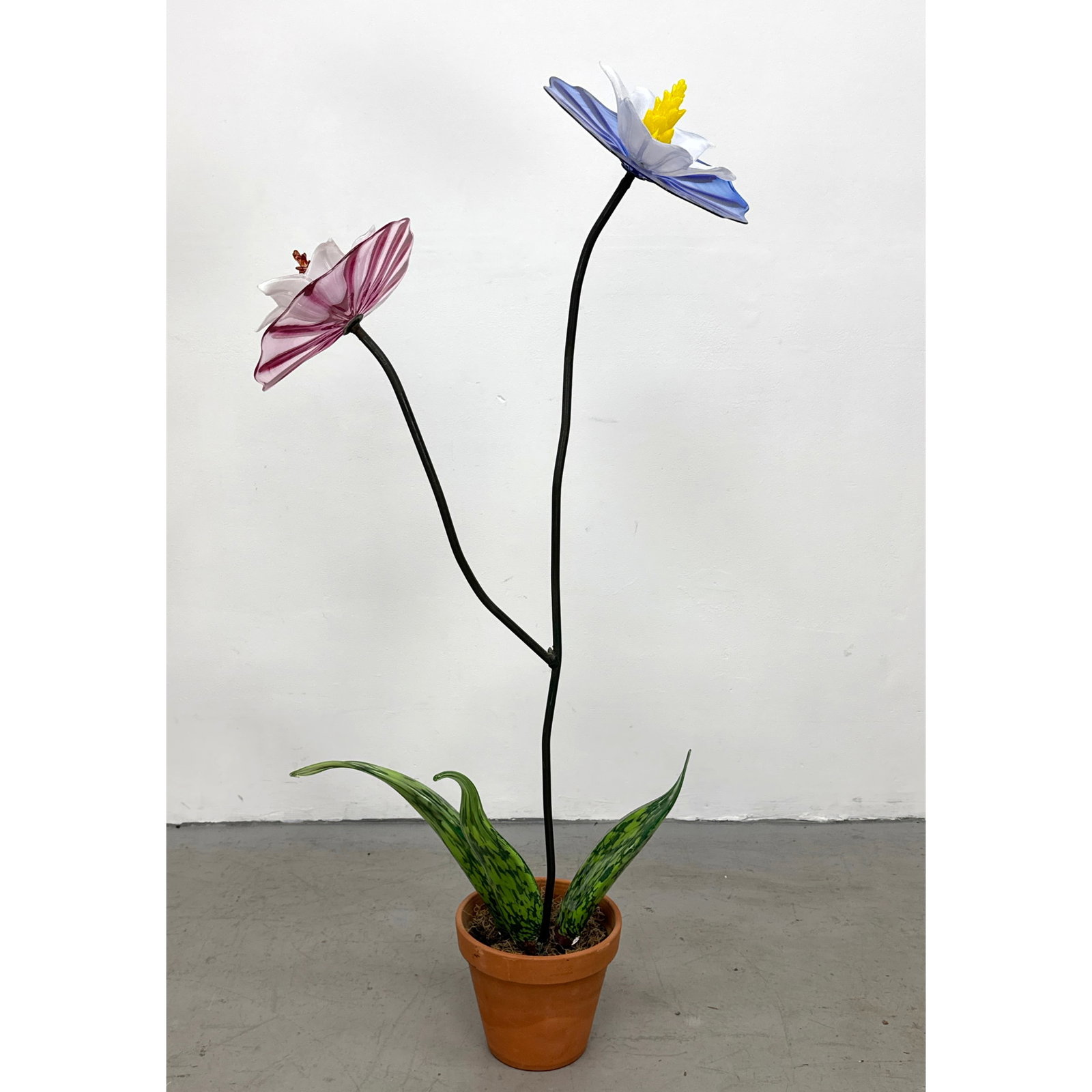 Large Contemporary 2 Flower Art Glass Botanical Sculpture on Metal Stems in Terracotta Pot. Style of (1 of 11)