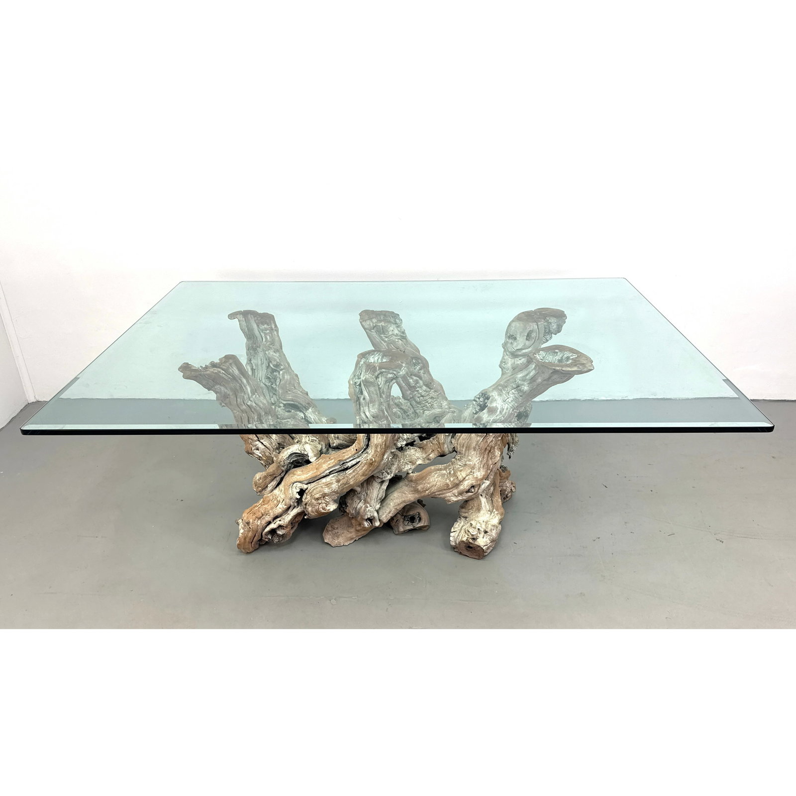 vintage coastal cypress root burl wood coffee table features a natural, sculptural base Thick glass. (1 of 10)