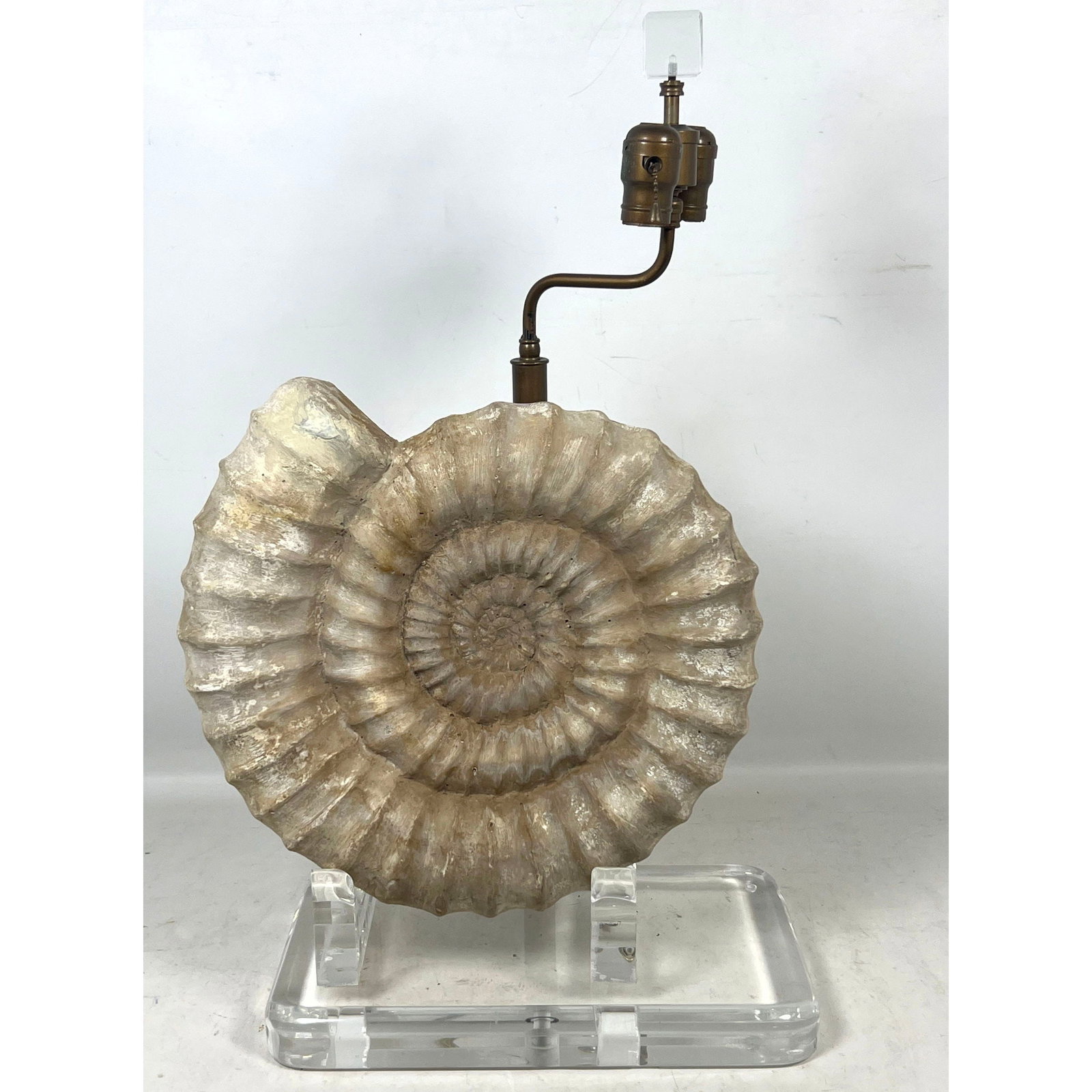 Cast Plaster and Lucite Table Lamp. Ammonite Form. (1 of 10)