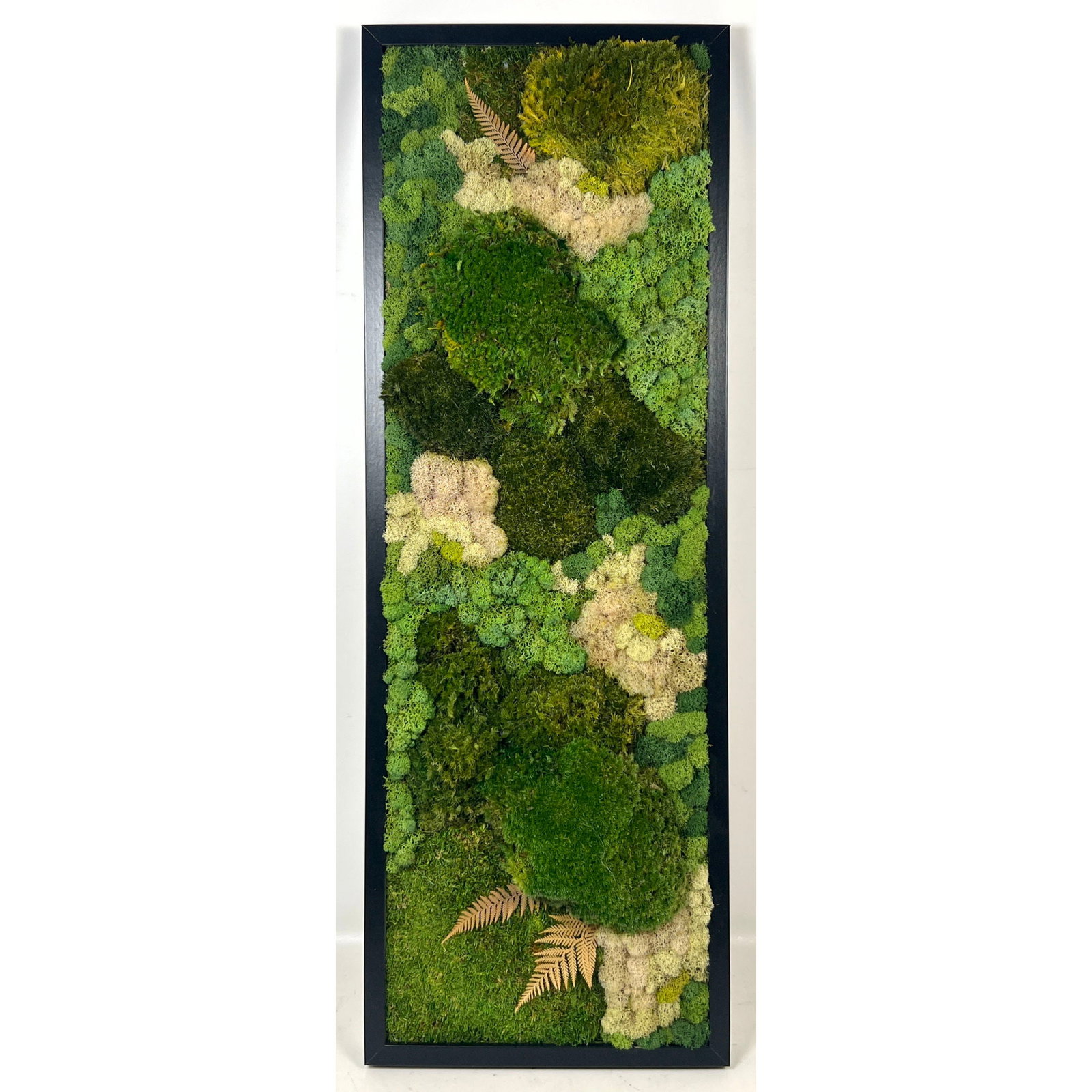 Mosstique Preserved Moss Wall Art with Fern Accents in Black Frame. Handmade in Brooklyn. both verti: Mosstique Preserved Moss Wall Art with Fern Accents in Black Frame. Handmade in Brooklyn. both vertical and horizontal display and bears 2 labels including a circular logo for Mosstique and a Care Man