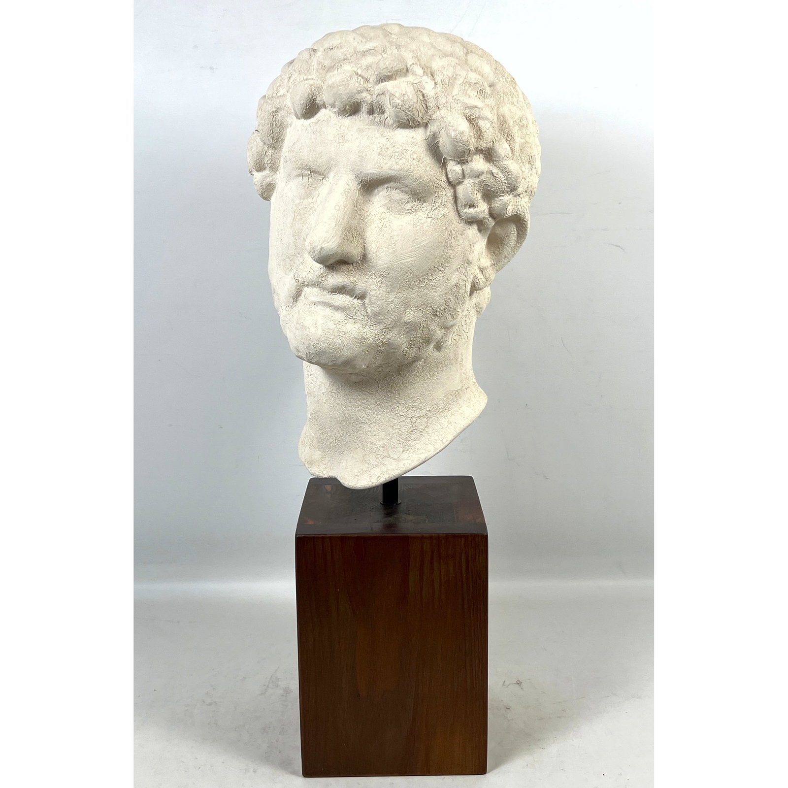Decorative classical male bust in the style of Emperor Hadrian with weathered stone finish on tall w (1 of 10)