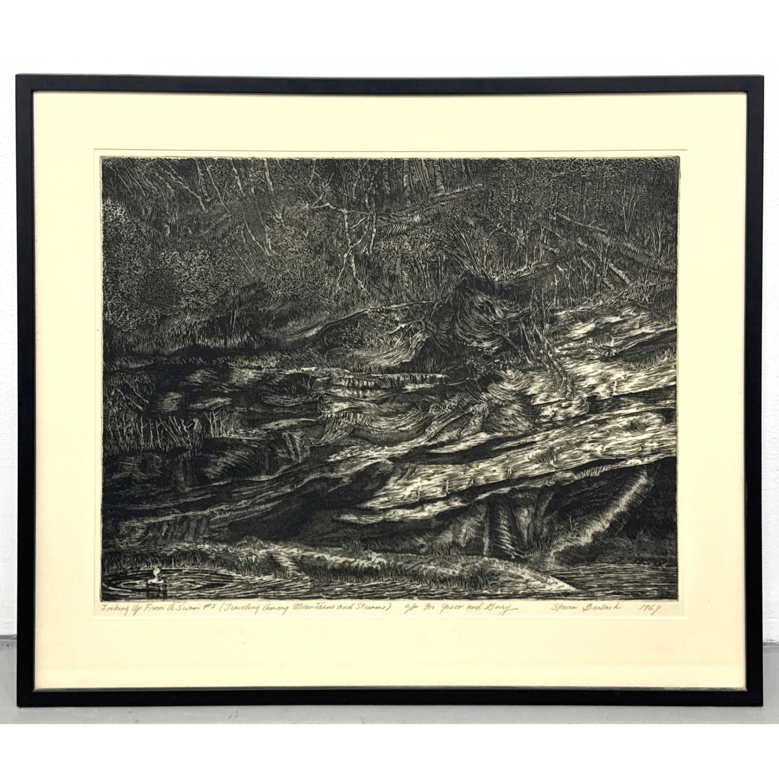 Steven Barbash 1969 etching traveling among mountains and streams Looking Up From A Swim portfolio n (1 of 9)
