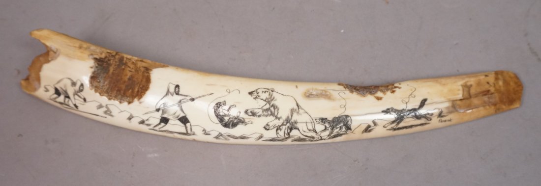 Antique Fossilized Ivory Signed Scrimshaw. Carved: Antique Fossilized Ivory Signed Scrimshaw. Carved Image of Eskimos with Spears, Polar Bears & Wolves. Signed PANEOK. -- Dimensions: : L: 14 inches --- US Shipping charge: $35
