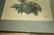 3pc Asian Japanese Woodblock Prints. Two are sign - 7