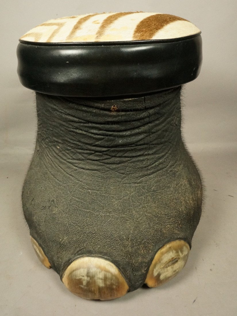 Elephant Form Foot Stool with Zebra Skin Top. Ta: Elephant Form Foot Stool with Zebra Skin Top. Taxidermy.-- Dimensions: H: 17 inches: W: 16 inches: D: 18 inches ---