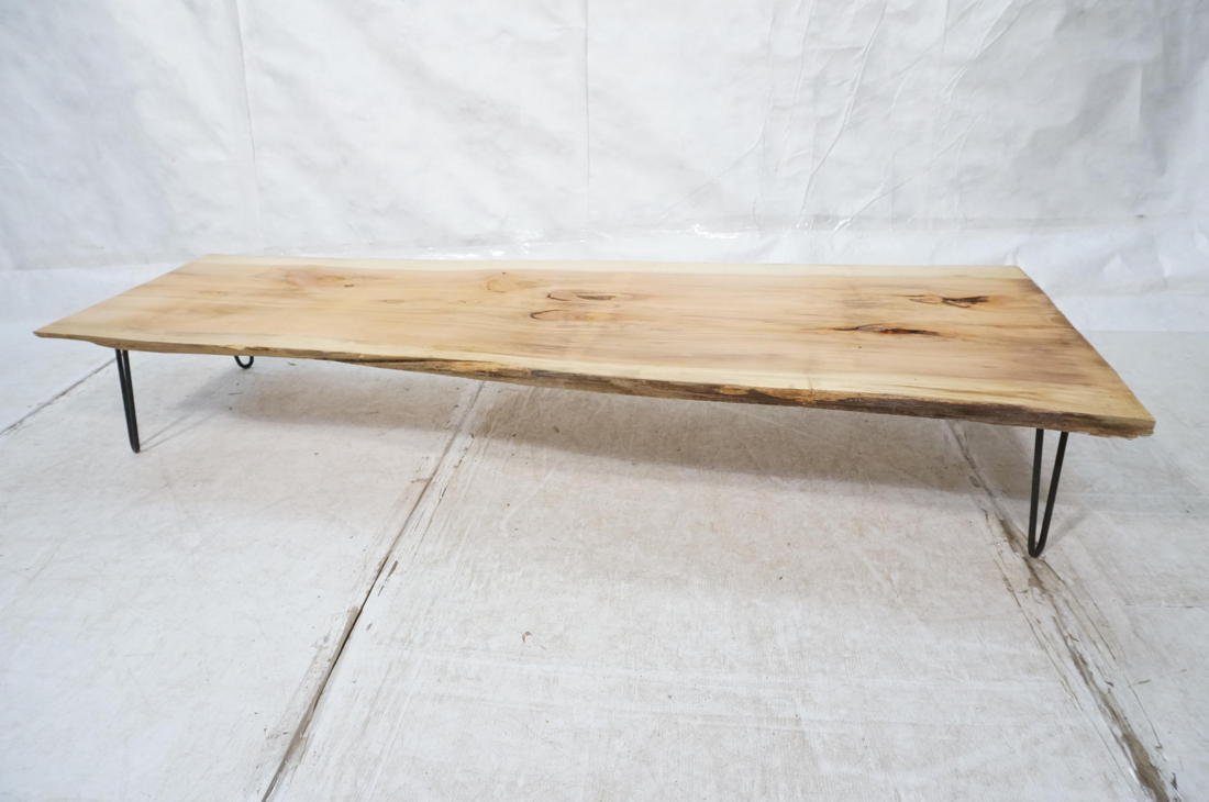 7'4" Dried Dawn Redwood 2" Slab Free Form edge Co: 7'4" Dried Dawn Redwood 2" Slab Free Form edge Coffee Table. Natural Edges. Slab rests on iron hairpin legs. Unfinished dried wood -- Dimensions: H: 13.5 inches: D: 33 inches: L: 87.5 inches ---