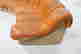 item-34073136=5