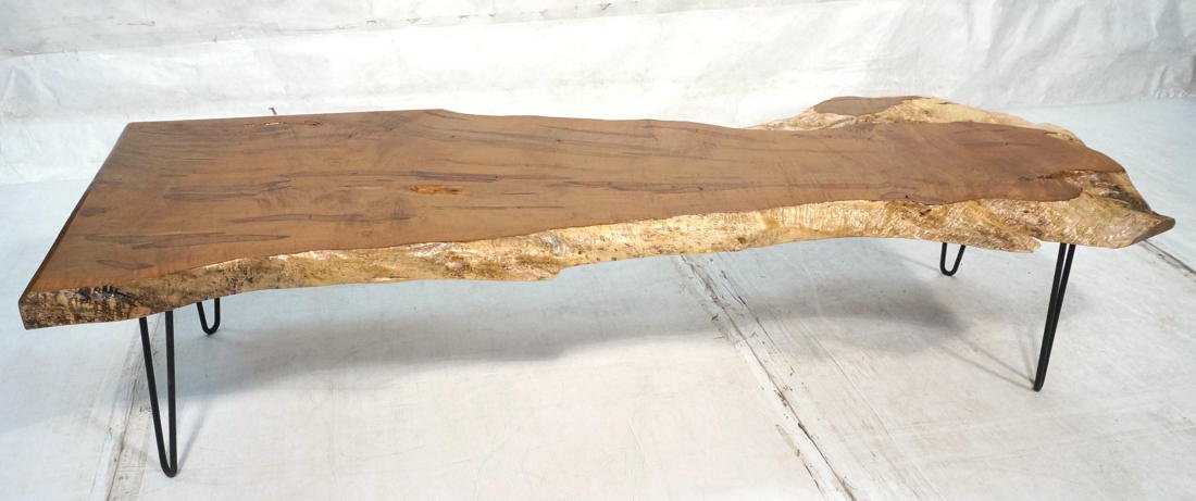 Large Modernist Plank Table with Hairpin Iron Leg: Large Modernist Plank Table with Hairpin Iron Legs. Freeform Edge.-- Dimensions: H: 18 inches: W: 73 inches: D: 24.5 inches ---