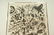 Pablo Picasso Unsigned Print. Professionally Fram - 5