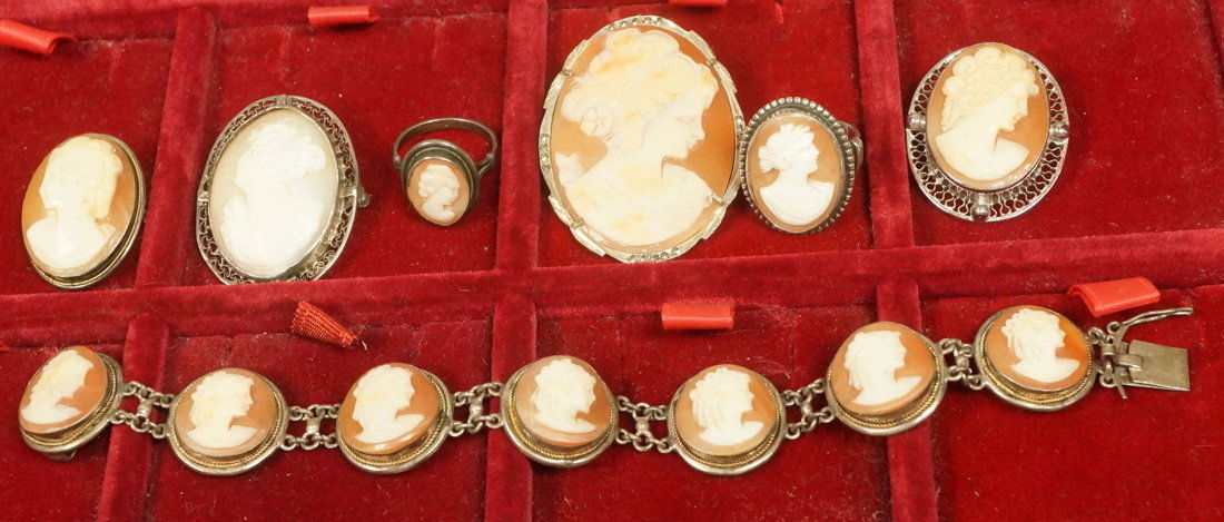 7pc Carved Shell Cameo Rings, Brooches, Bracelet.: 7pc Carved Shell Cameo Rings, Brooches, Bracelet. Most have sterling or 800 silver frames. Bracelet is 7" long.-- Dimensions: H: 1.75 inches: W: 1.5 inches --- US Shipping charge: $20