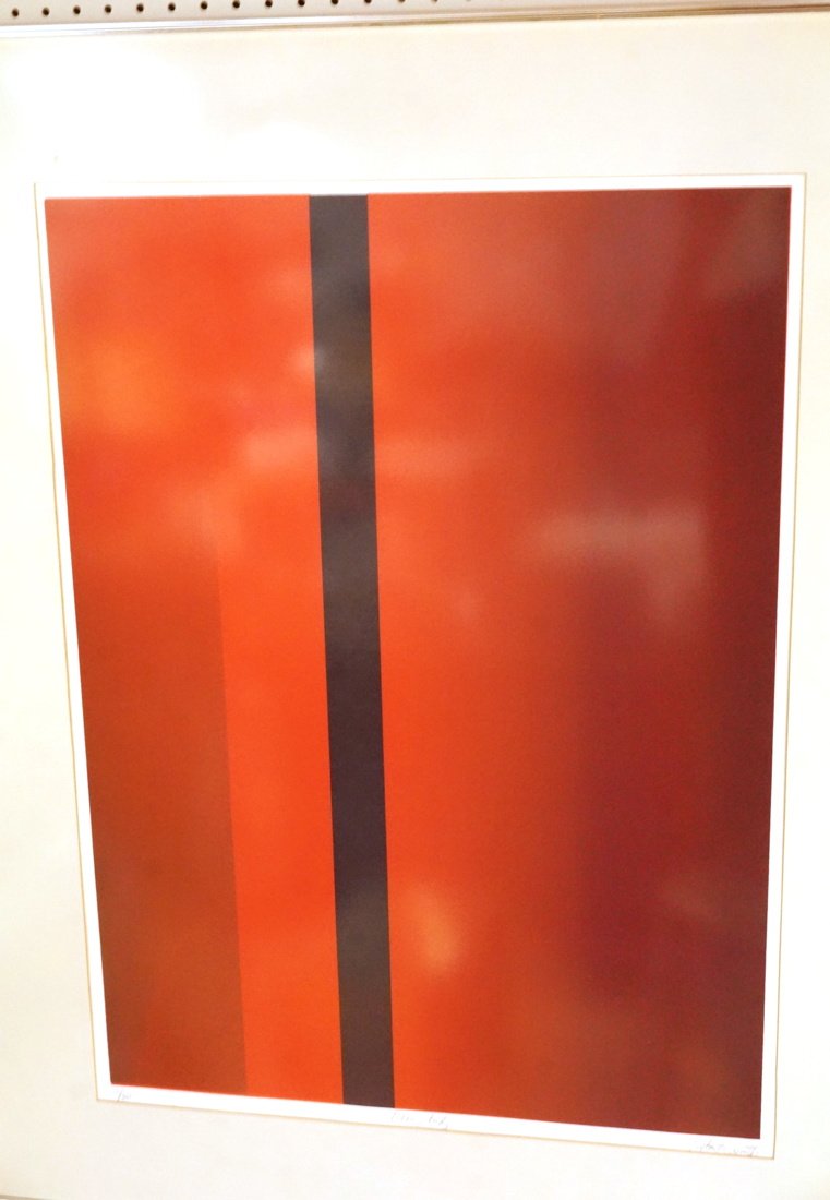 PEYTON H ????? "Neon Study" Silkscreen. Vertical (1 of 5)