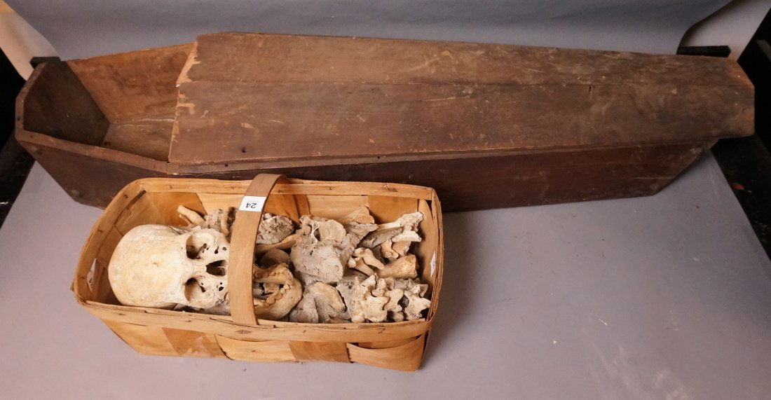 Skeleton Parts with Small Size Coffin.  Skull and (1 of 10)