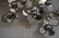 C JERE 1975 Raindrops Wall Sculpture. Chrome. S - 8
