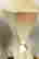 item-43654366=7