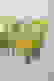 item-44159372=2