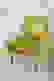 item-44159372=3