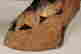 item-44274003=2