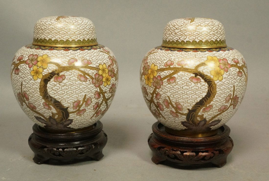 Pair of Cloisonne Asian lidded Jars. White with (1 of 9)
