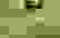 item-47322063=4
