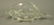 ZANETTI L. Art Glass Conch Sculpture. Clear glass - 2