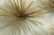 C JERE Large 5 Pom Pom Metal Modernist Wall Sculp - 10