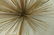 C JERE Large 5 Pom Pom Metal Modernist Wall Sculp - 4