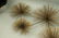 C JERE Large 5 Pom Pom Metal Modernist Wall Sculp - 5