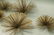 C JERE Large 5 Pom Pom Metal Modernist Wall Sculp - 8