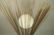 Harry Bertoia style Metal Wire Table Lamp. Block - 4
