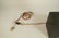 Harry Bertoia style Metal Wire Table Lamp. Block - 6