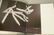 3 Modern Design Books. 1) The Soul of Nakashima, Signed - 8