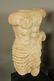 Pr Repro Cast Figural Sculptures. Male torsos. On - 2