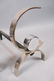 Pr Chromed Steel DONALD DESKEY Andirons. Moderni - 3