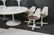 Burke Dining Set with 8 Chairs. 2 Arm and 6 side - 2