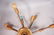 2pcs SPUTNIK Hanging Lamps. AS IS. Ball center - 5