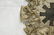 Zodiac Fiberglass Wall Mirror. Gold Finish. Signe - 5