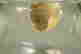 item-47973930=4