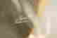 item-47973934=4