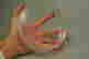 item-47973944=4