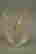 item-47973952=2