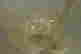 item-47973952=3